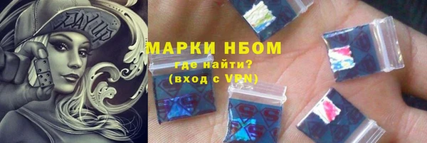 сатива Надым