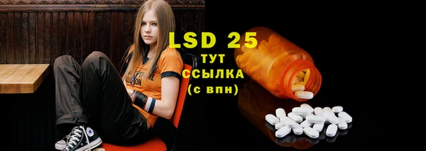 сатива Надым