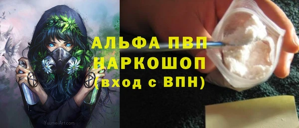 сатива Надым