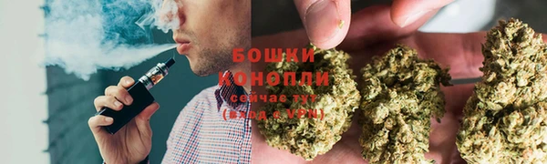 сатива Надым
