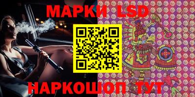крисы Нальчик
