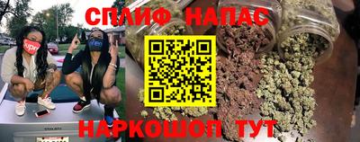 крисы Нальчик