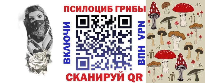 Галлюциногенные грибы GOLDEN TEACHER  дарнет шоп  omg как войти  Протвино 