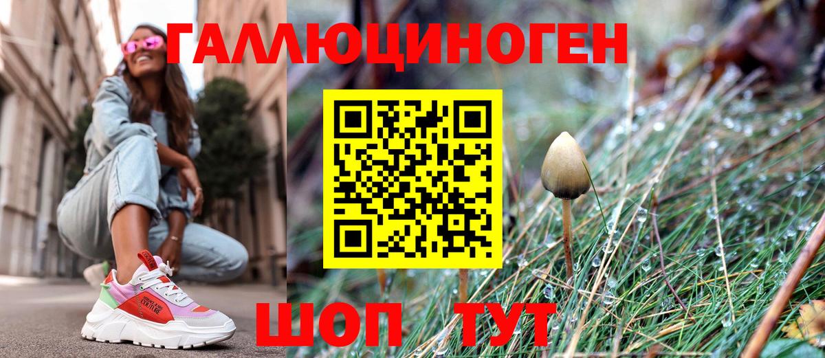 Протвино  Псилоцибиновые грибы Psilocybe  Вход с VPN  Псилоцибиновые грибы Cubensis 